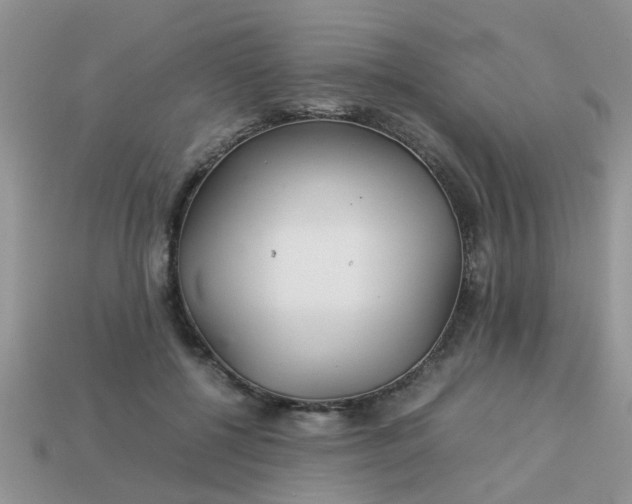 X0000113040552200909101920