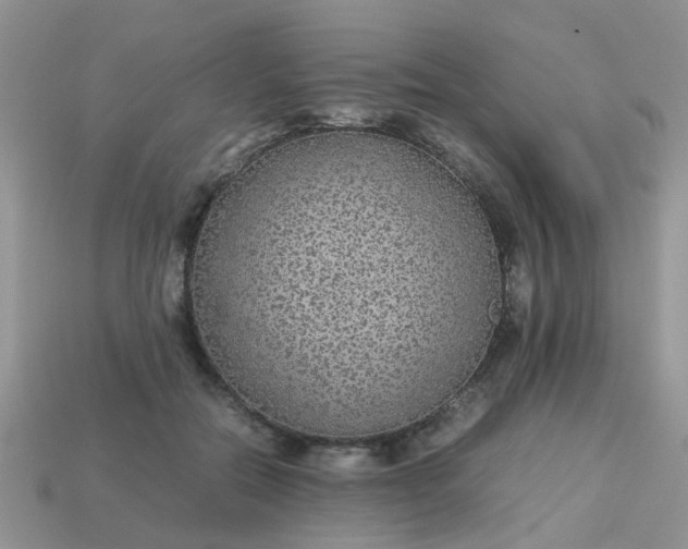 X0000113040554200909101920