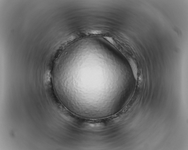X0000113040555200909101920