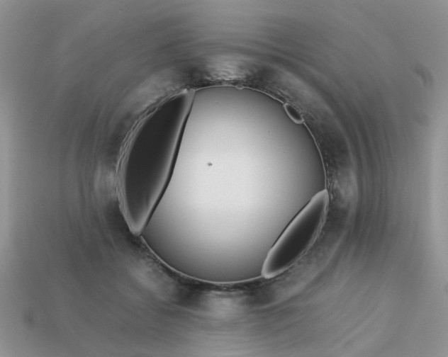 X0000113040556200909101920
