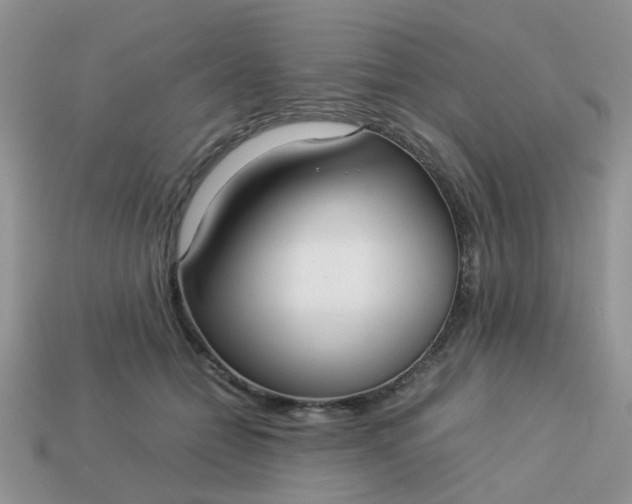X0000113040558200909101920