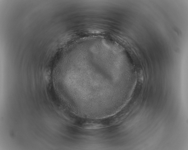 X0000113040559200909101920