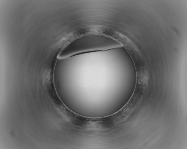 X0000113040560200909101920