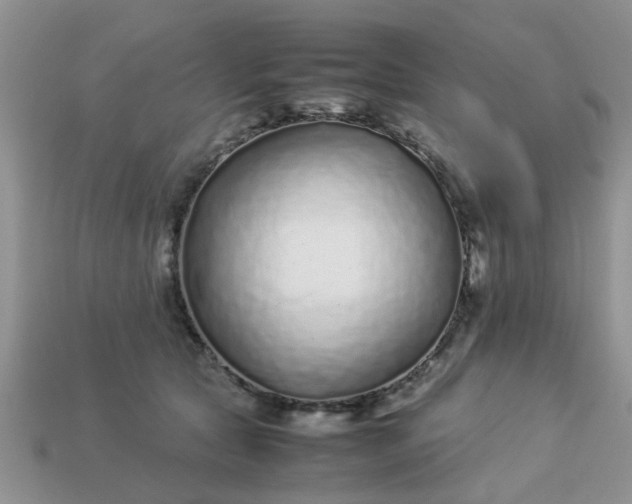 X0000113040561200909101920