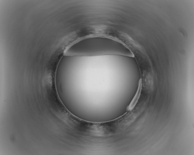 X0000113040562200909101920