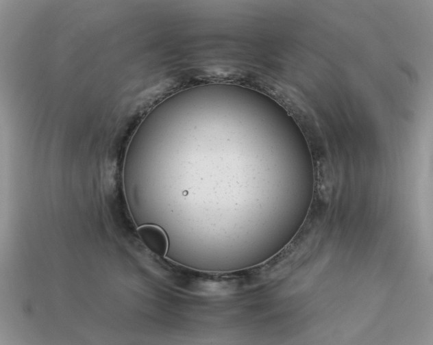 X0000113040563200909101920