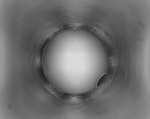X0000113040564200909101920