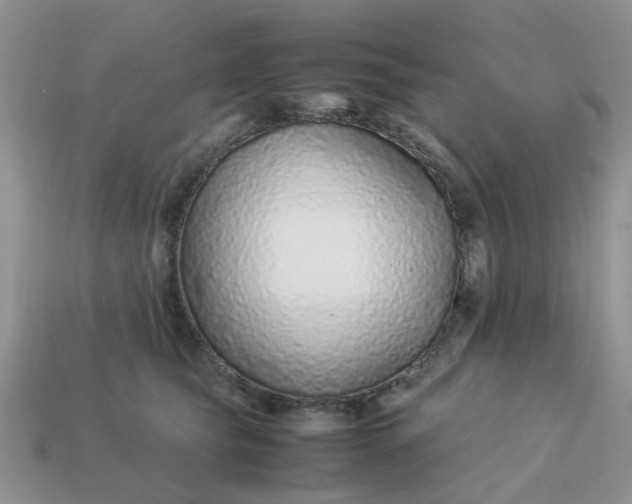 X0000113040565200909101920