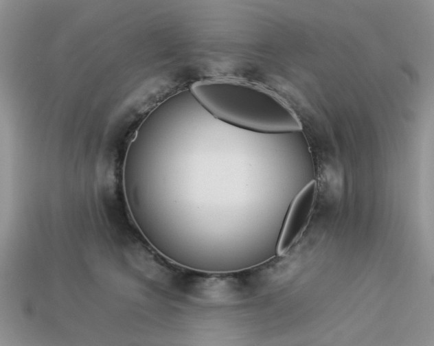 X0000113040566200909101920