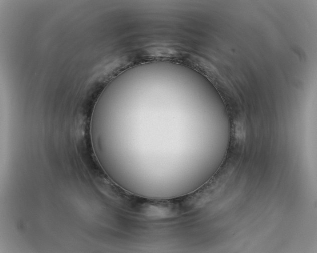 X0000113040567200909101920