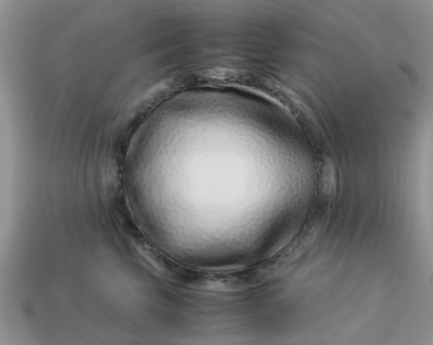 X0000113040569200909101920