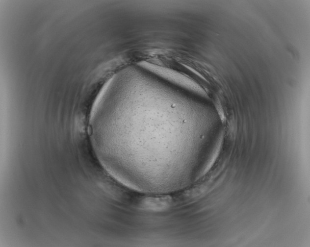 X0000113040571200909101920
