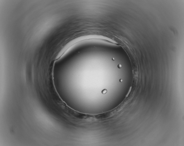 X0000113040572200909101920