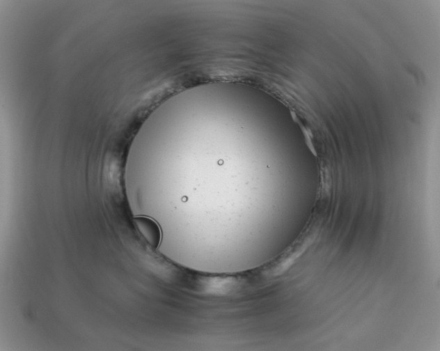 X0000113040575200909101920