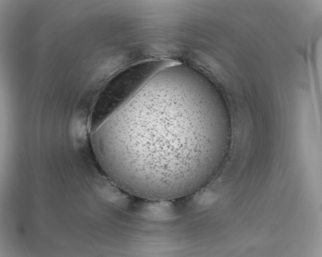 X0000113040576200909101920
