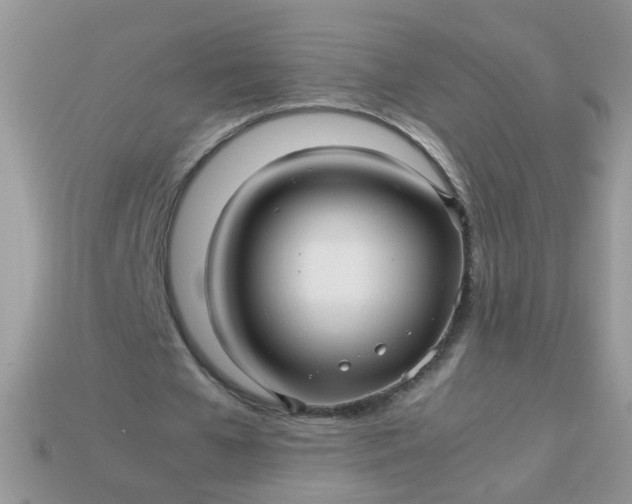 X0000113040577200909101920