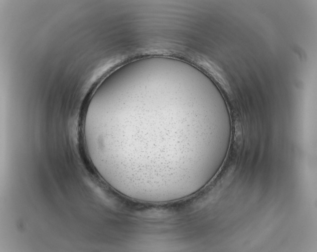 X0000113040578200909101920