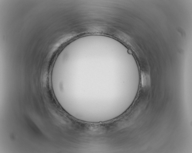 X0000113040579200909101920