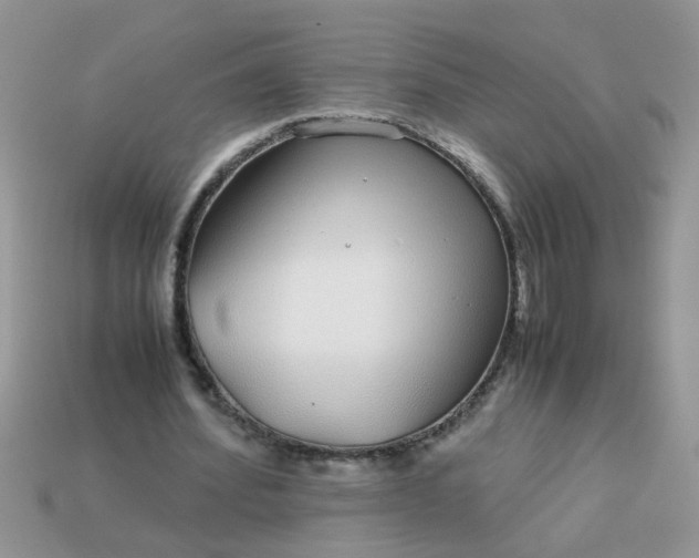 X0000113040580200909101920