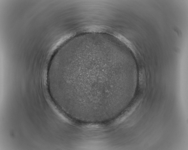 X0000113040581200909101920