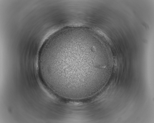 X0000113040582200909101920