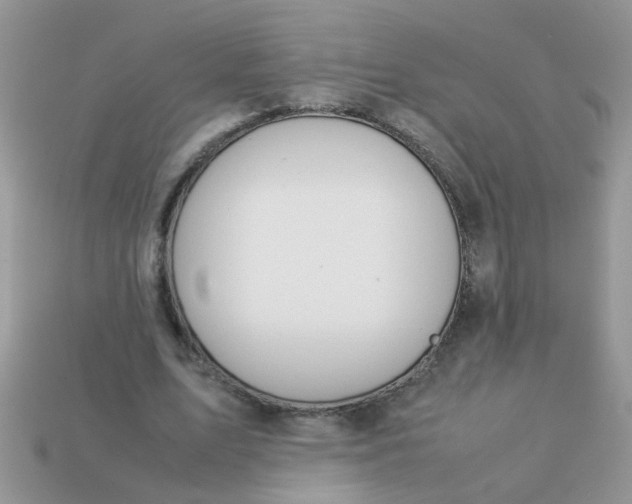 X0000113040583200909101920