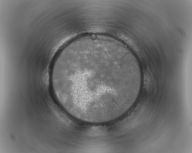 X0000113040584200909101920