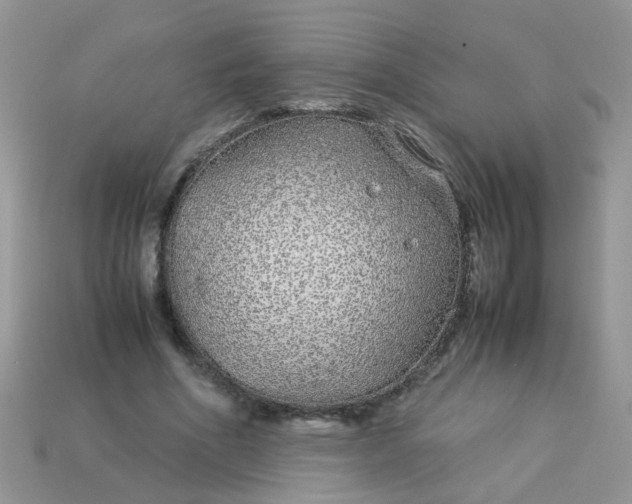 X0000113040586200909101920