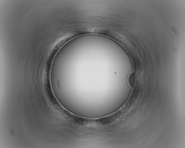 X0000113040587200909101920