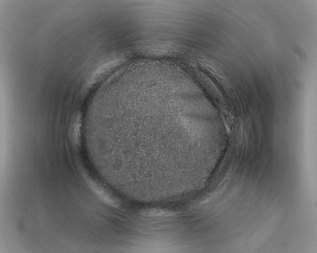 X0000113040590200909101920