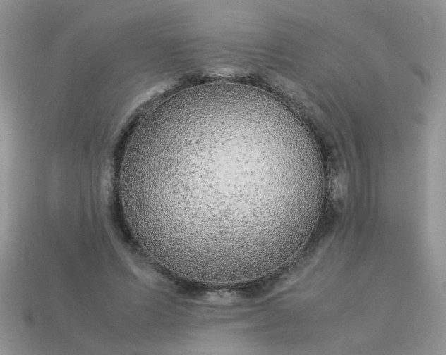 X0000113040591200909101920