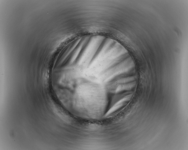 X0000113040592200909101919