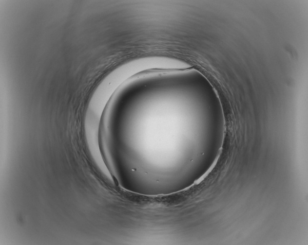 X0000113040593200909101919