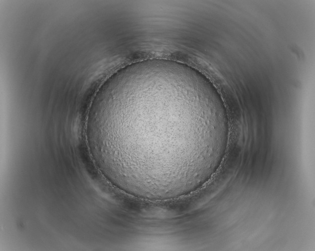 X0000113040594200909101919