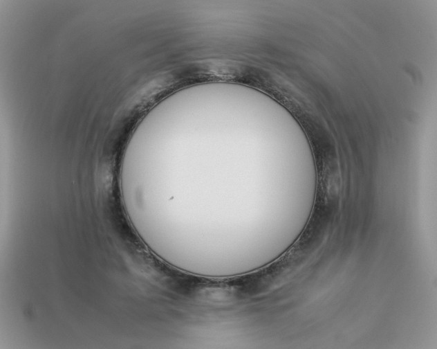 X0000113040595200909101919