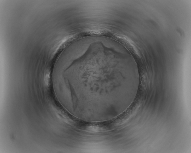 X0000113040596200909101919