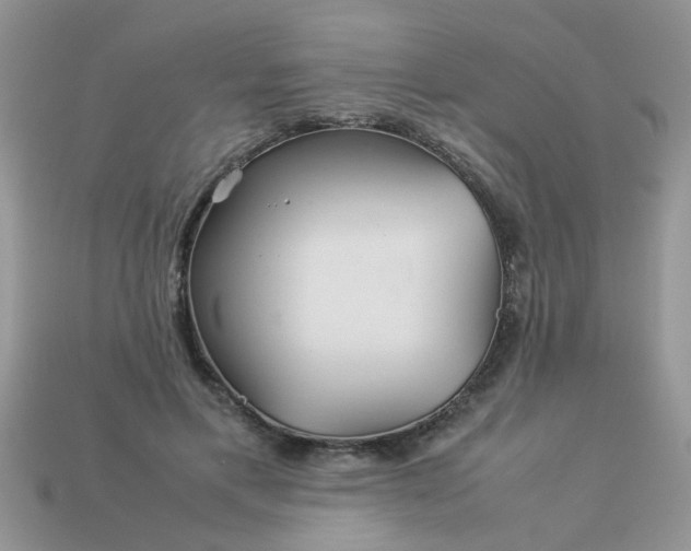 X0000113040597200909101919