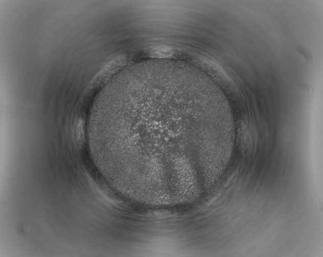 X0000113040598200909101919