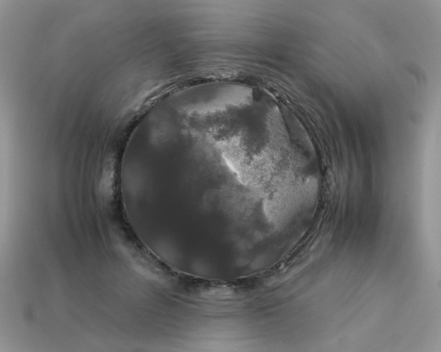 X0000113040600200909101919