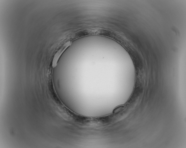 X0000113040601200909101919