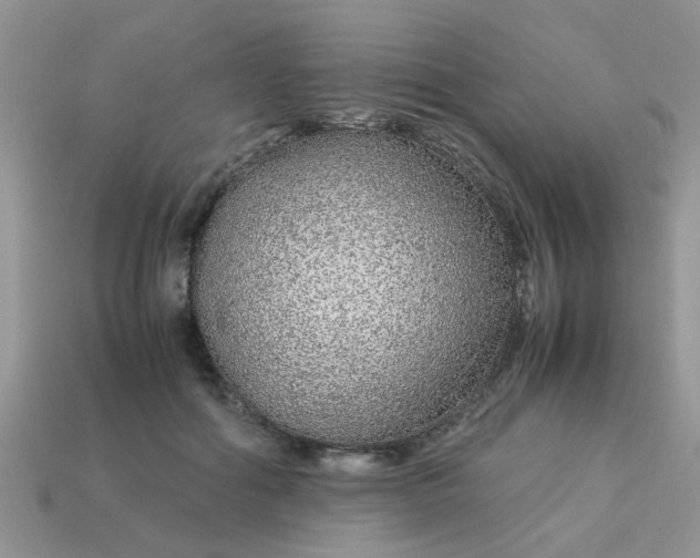 X0000113040602200909101919