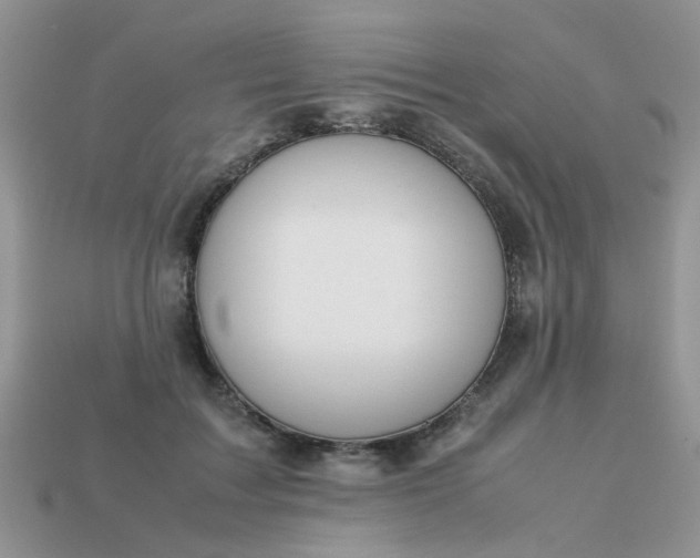 X0000113040603200909101919