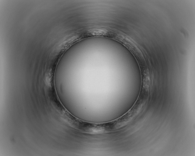 X0000113040604200909101919