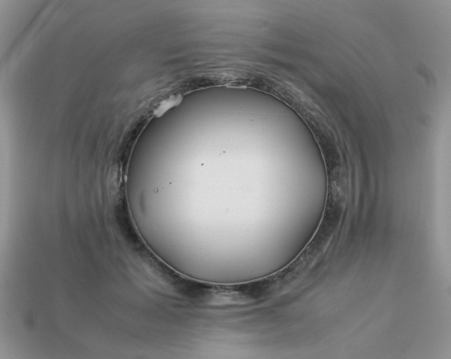 X0000113040605200909101919