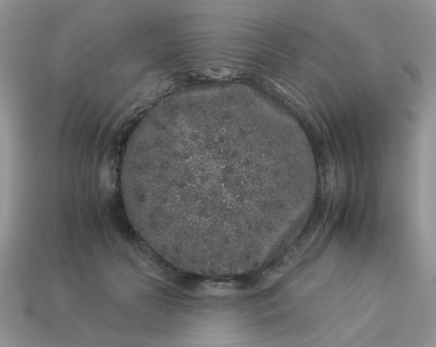 X0000113040606200909101919