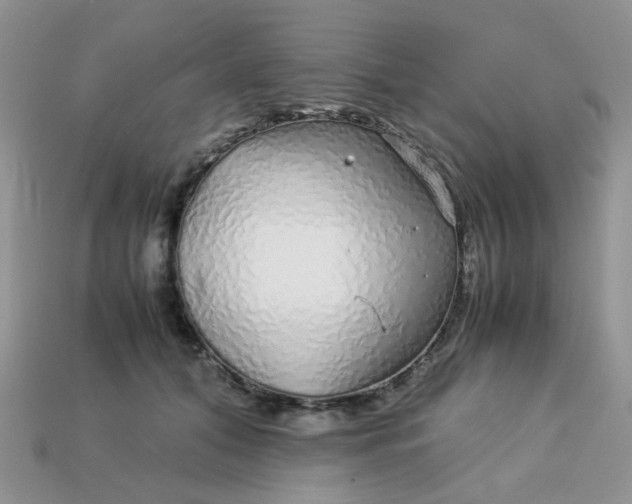 X0000113040608200909101919