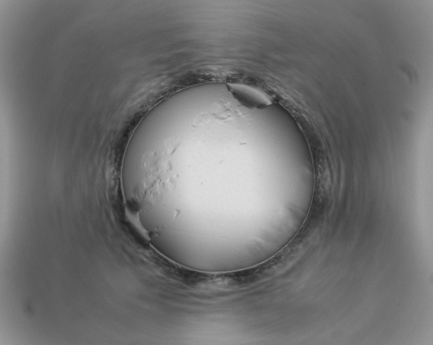X0000113040609200909101919