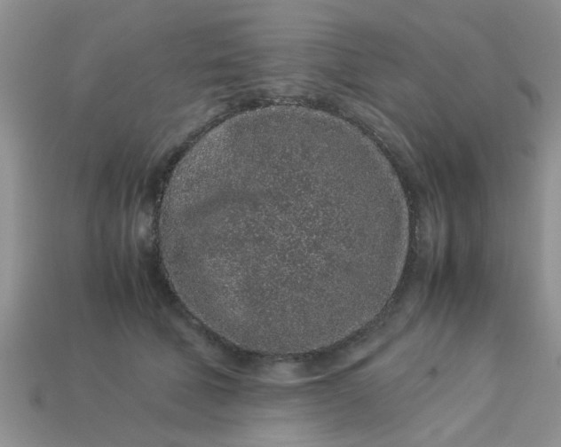 X0000113040610200909101919