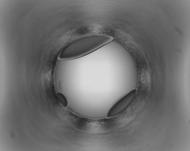 X0000113040611200909101919