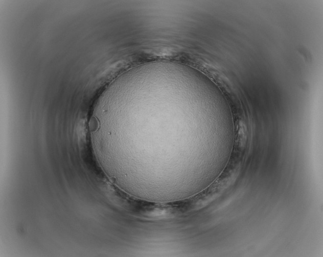 X0000113040612200909101919